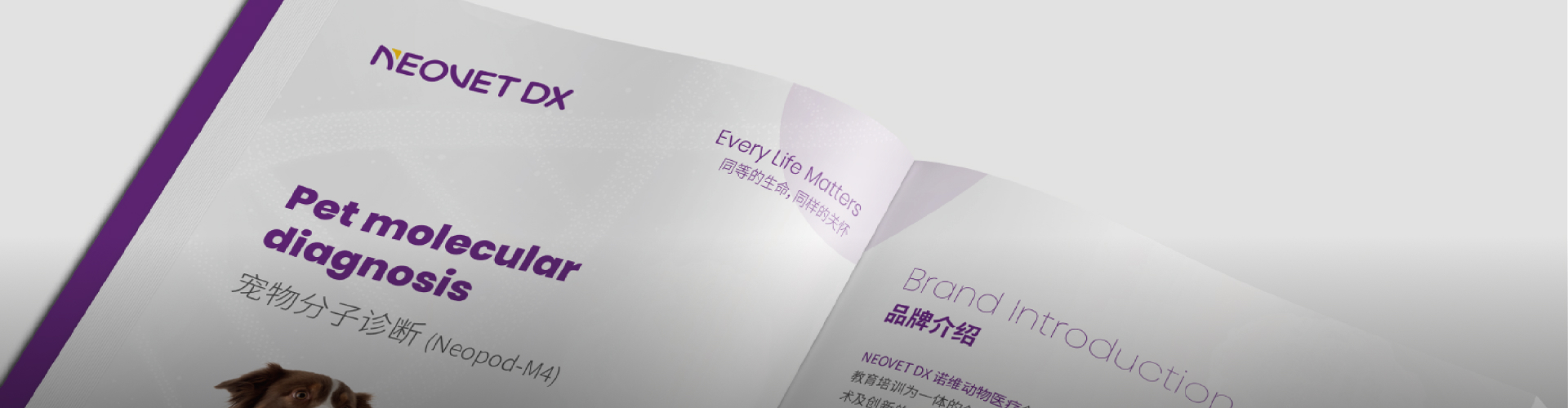 Nexlab Co., Ltd.